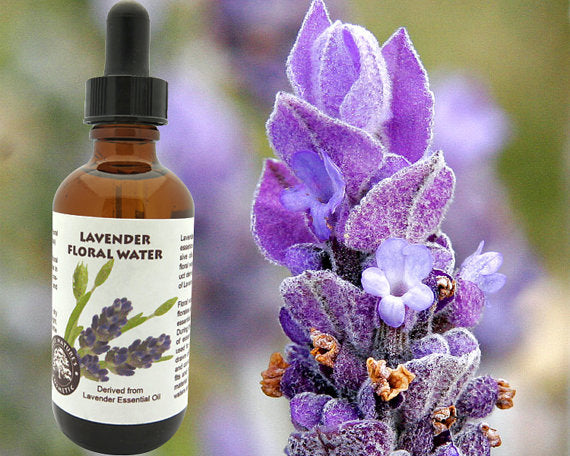 Lavender Floral Water (Hydroflorate or Hydrosol) - Best Today's Gifts